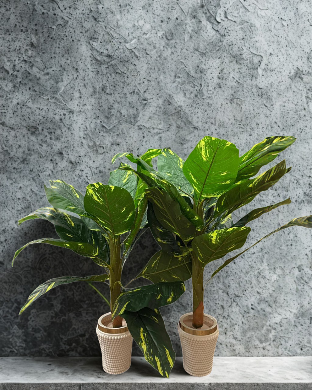 Flower Pots Plant Pots